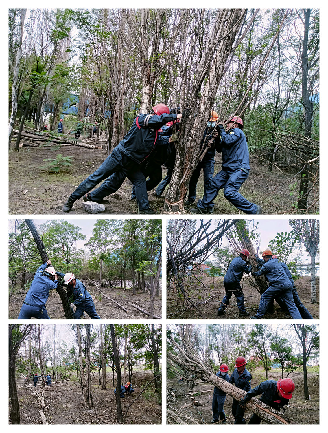 0d4ee4bd-5bc7-11f0-bc41-8cbd52c5c617.jpg 0d4ee4bd-5bc7-11f0-bc41-8cbd52c5c617.jpg