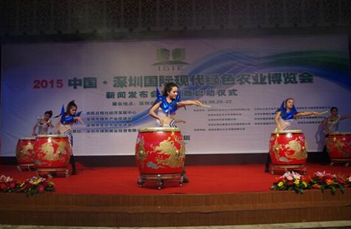 發布會策劃-活動表演